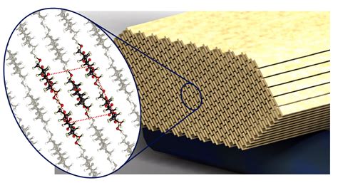 Celluloseacetate: Een Duurzame Materialenwonder voor 3D-Printtechnieken en Biomedische Toepassingen!