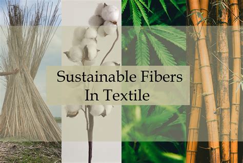  Hemp: Een Duurzame Superheld Voor De Textielindustrie!