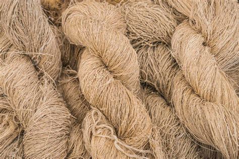 Hemp Fibres: Ontdek de Wonderen van deze Duurzame en Veelzijdige Textile Vezel!