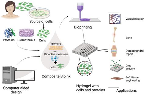  Latex: Uncovering the Versatility of This Remarkable Natural Polymer in Advanced Biomedical Applications