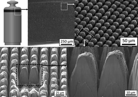 Xerogel voor Verbeterde Duurzaamheid en Biocompatibiliteit in Medische Implantaten!